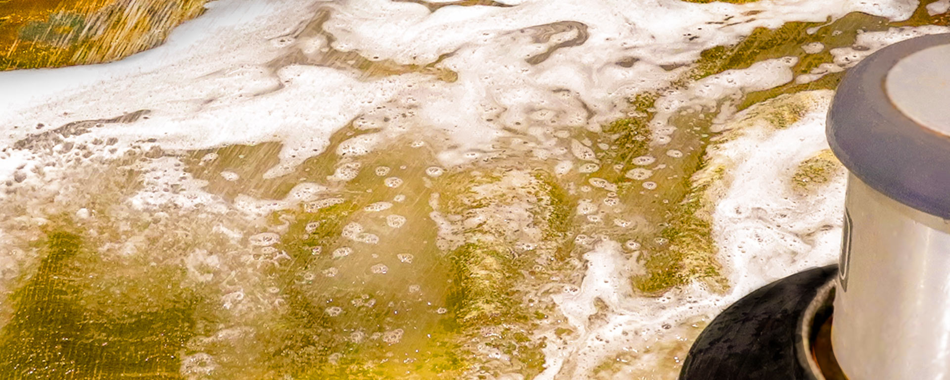 Rug Cleaning Togar Rugs